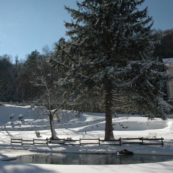 Photo of Others in Luz-Saint-Sauveur