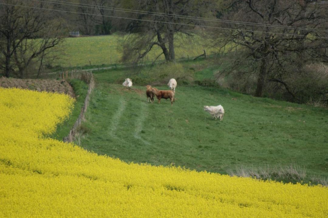 Photo of Others in Moureuille