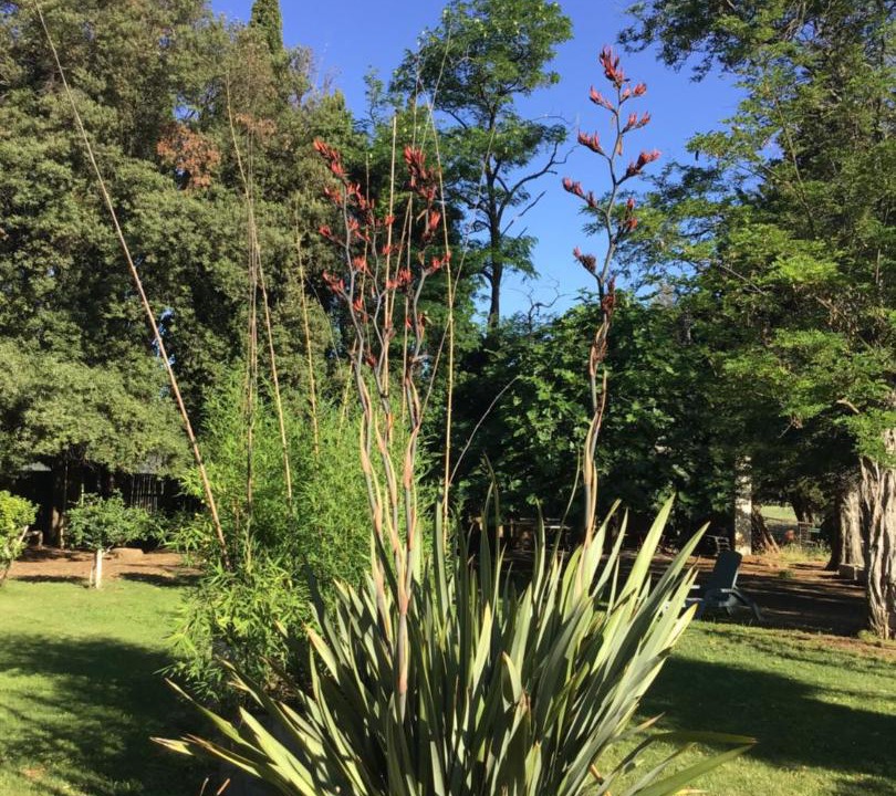Photo of Outdoor in Fabrezan
