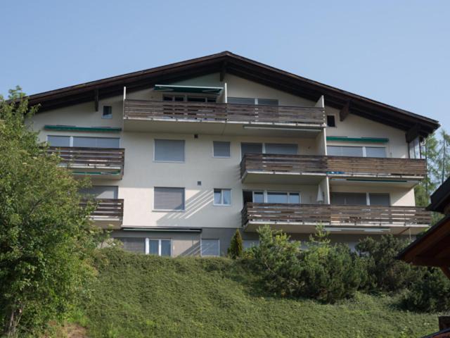 Photo of Others in Laax