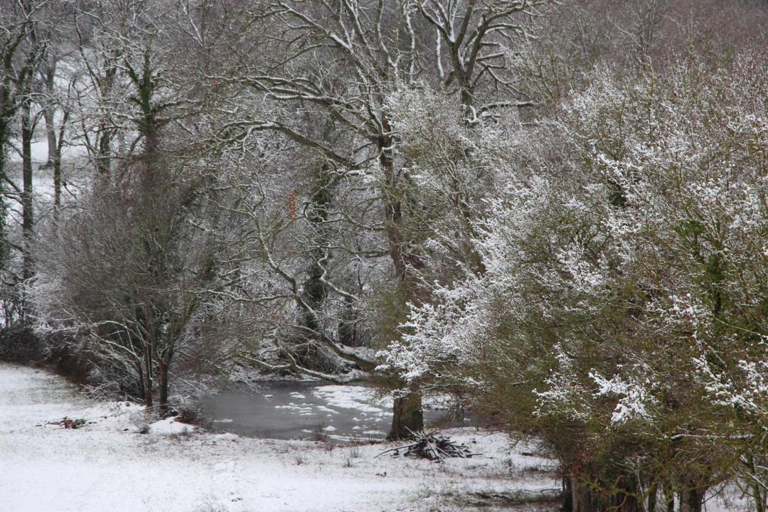 Photo of Others in Autry-Issards