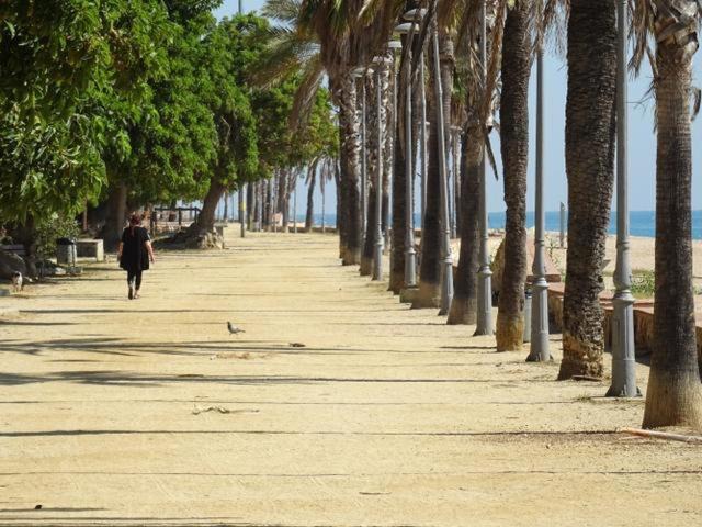 Photo of Others in Canet de Mar
