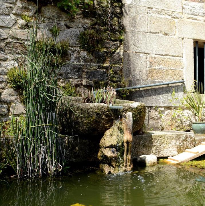 Photo of Others in Vidaillat