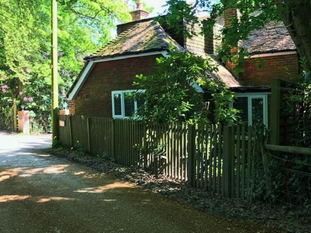 Photo of Buildings in New Forest District