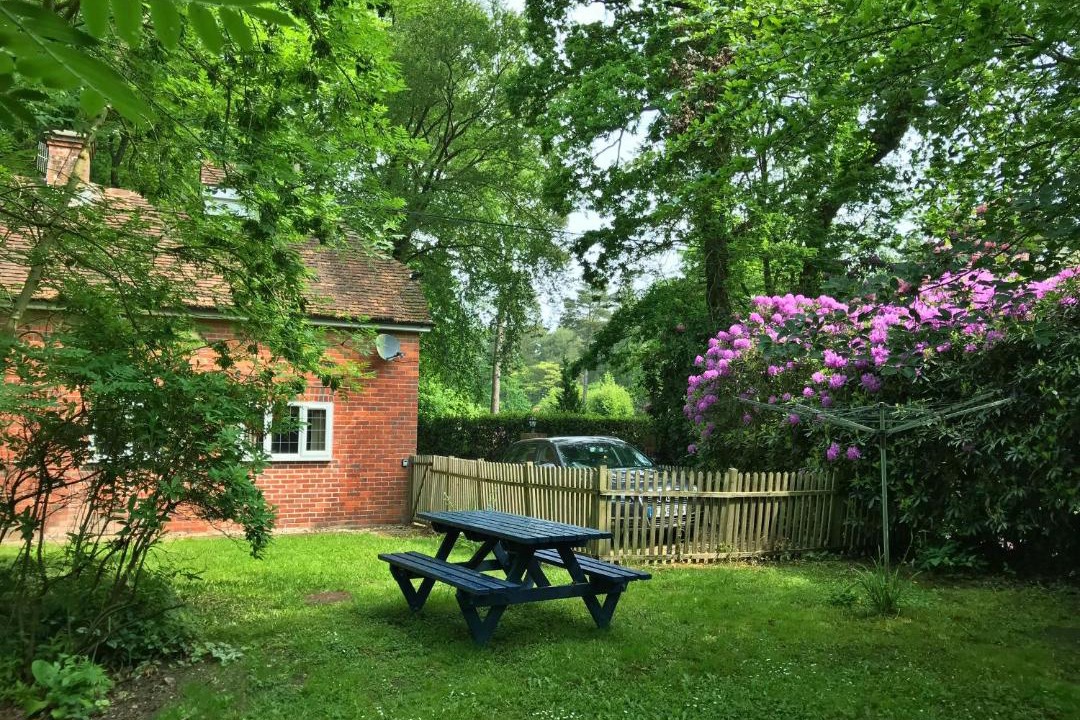 Photo of Patio Balcony in New Forest District