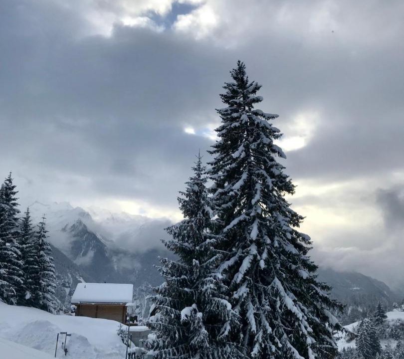 Photo of Others in Schmitten