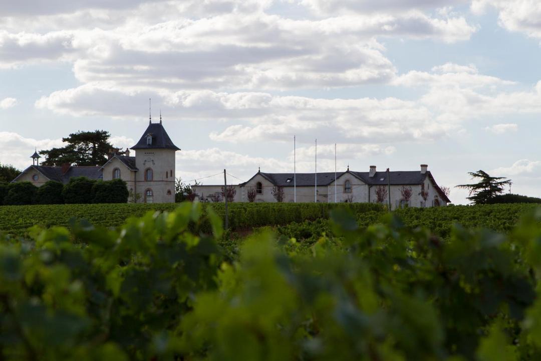 Photo of Others in Beaulieu-sur-Layon