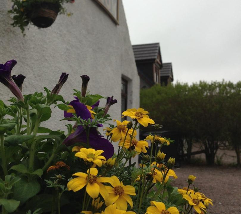 Photo of Others in Aberdeen