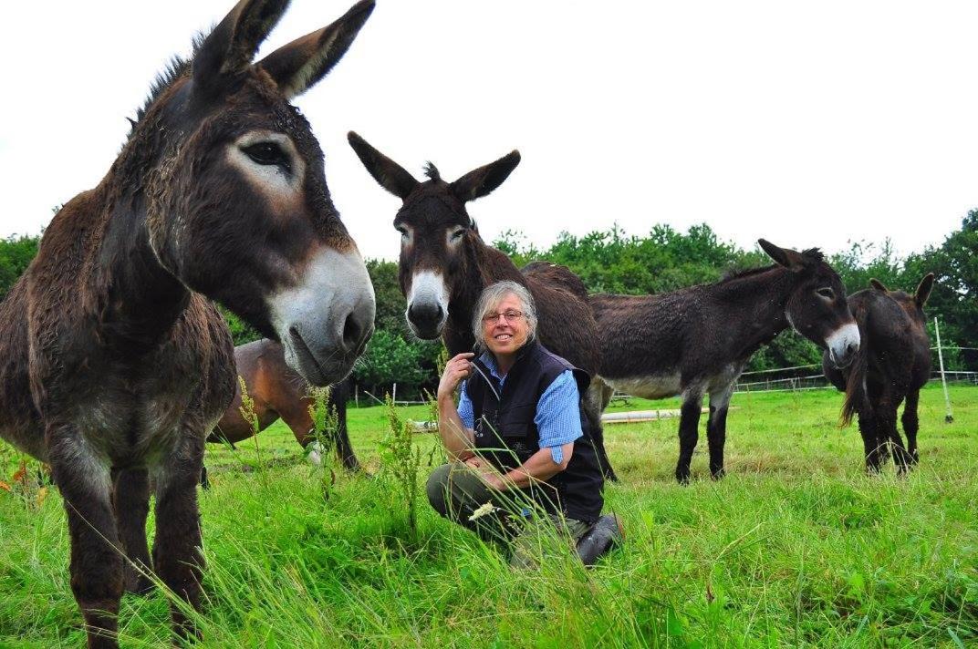 Photo of Human In Picture in Ploermel
