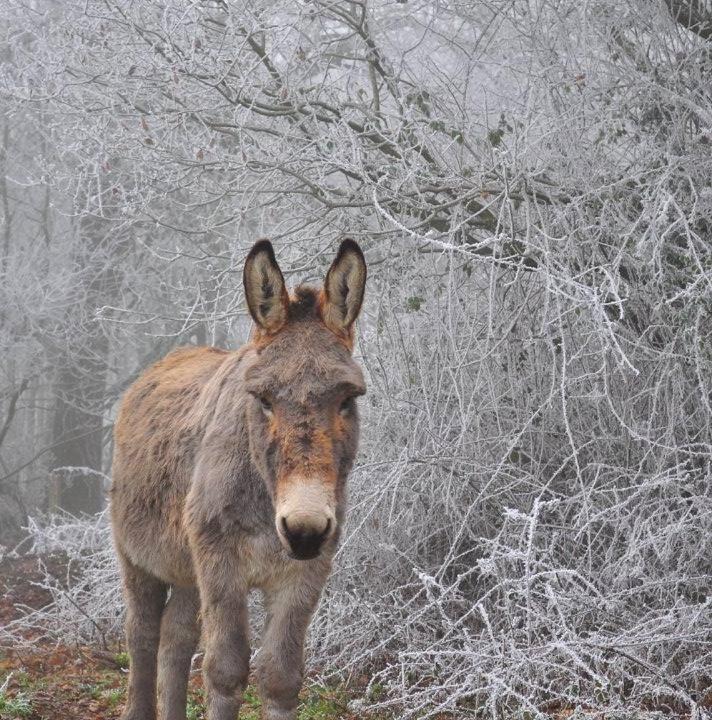 Photo of Others in Ploermel