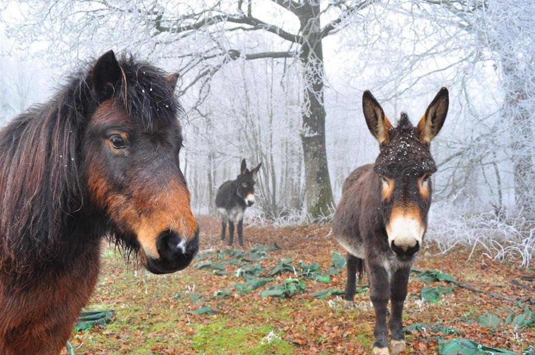 Photo of Human In Picture in Ploermel