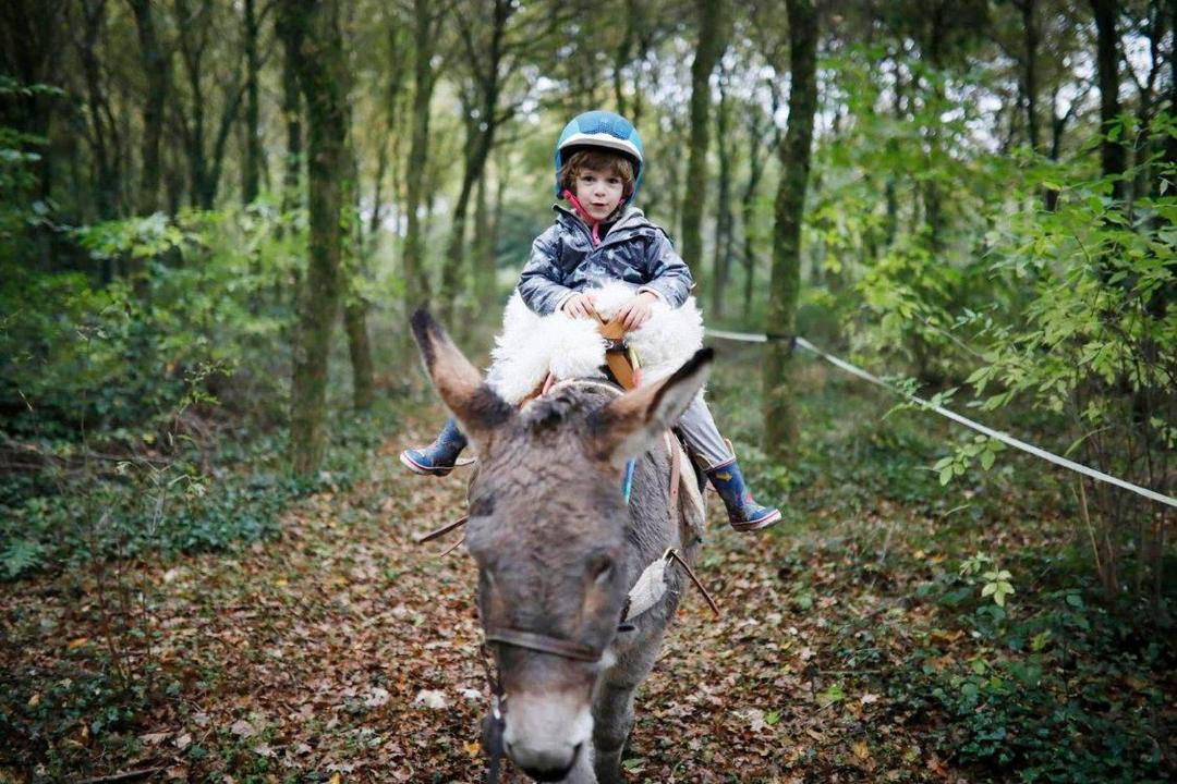 Photo of Human In Picture in Ploermel