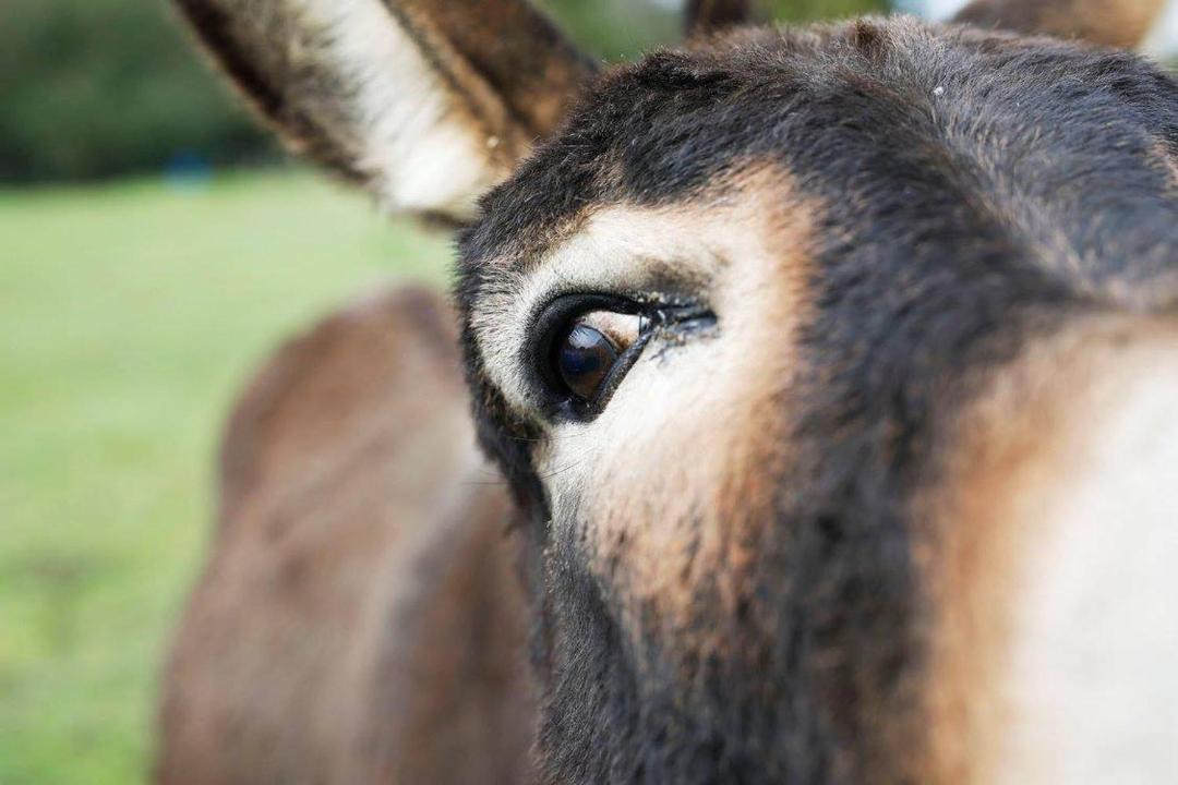 Photo of Others in Ploermel