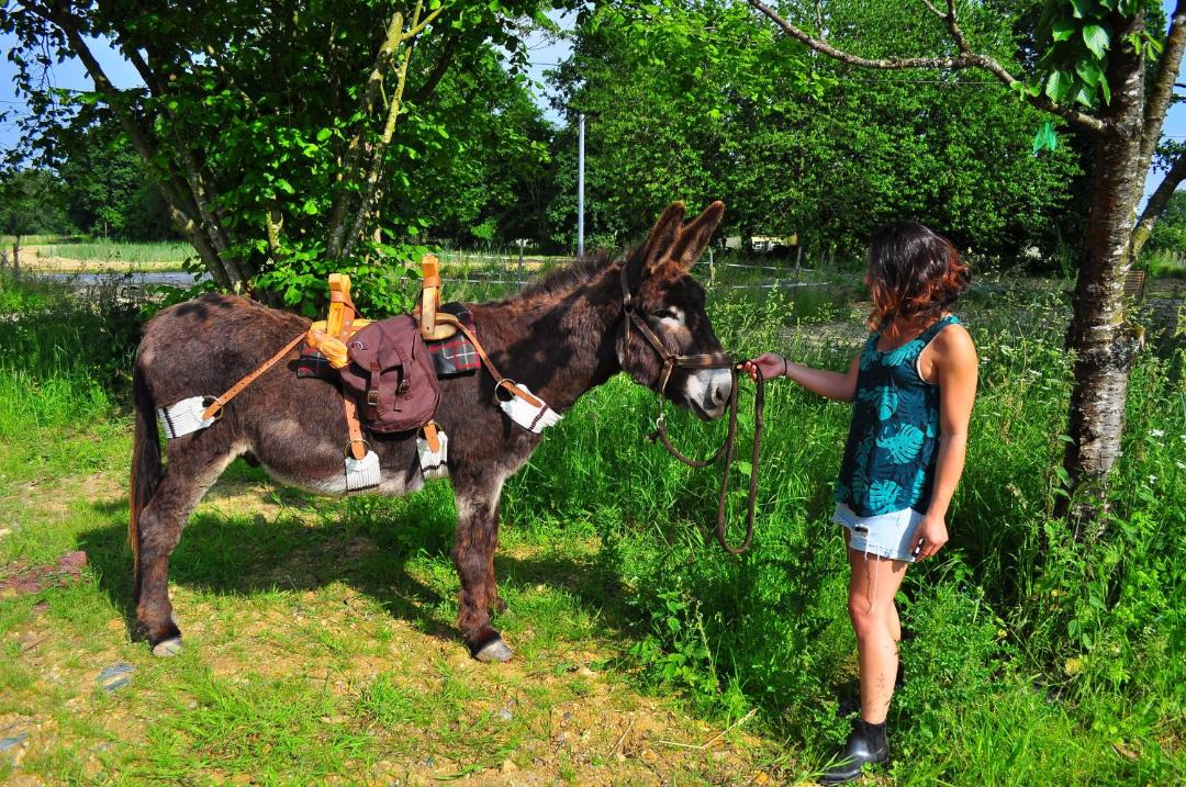 Photo of Others in Ploermel