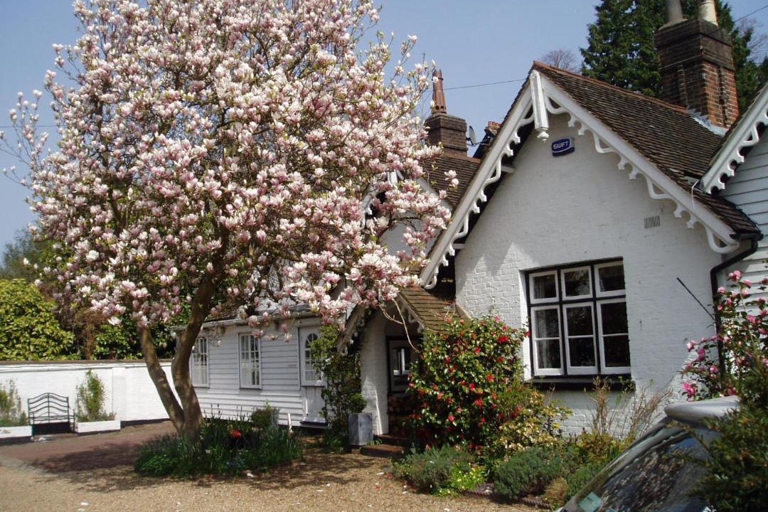 Photo of Buildings in Royal Tunbridge Wells