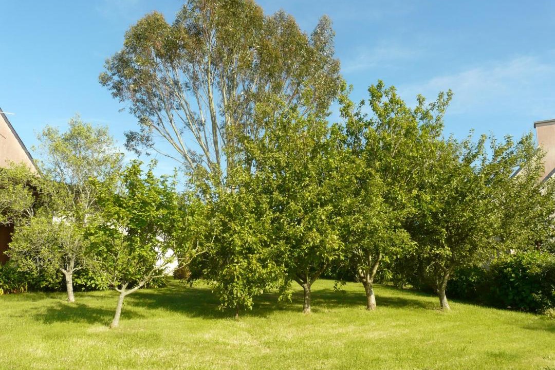 Photo of Others in Saint-Jean-du-Doigt