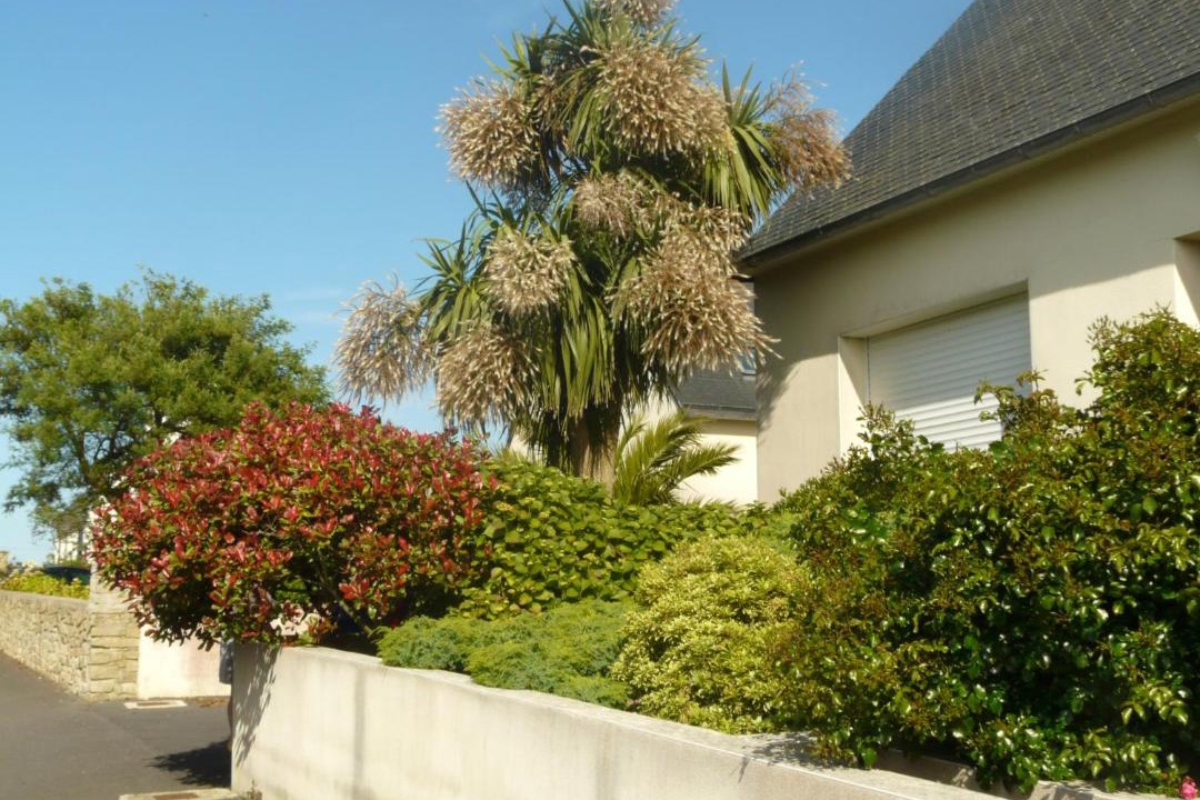 Photo of Others in Saint-Jean-du-Doigt