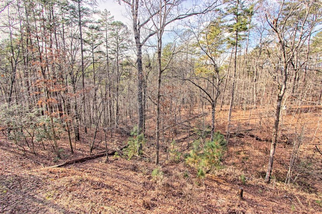 Photo of Others in Ellijay