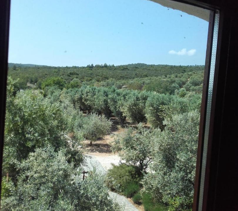 Photo of Others in Le Castellet