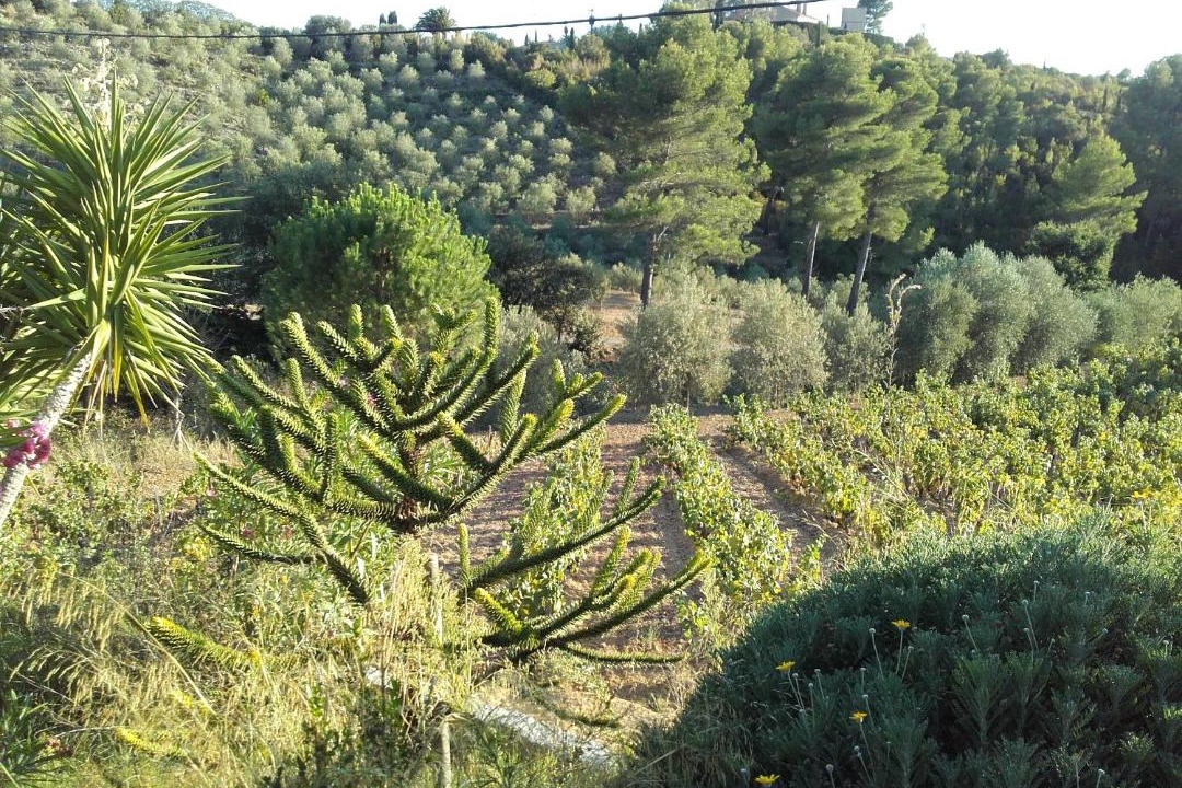 Photo of Others in Le Castellet
