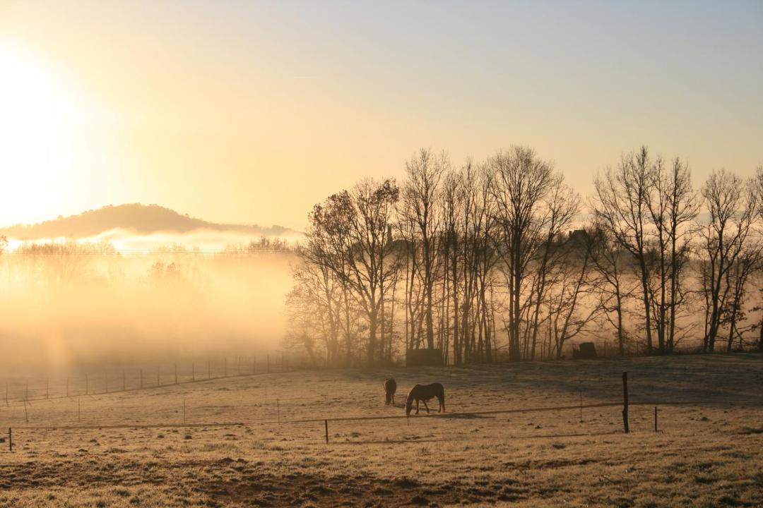 Photo of Outdoor in Limeuil