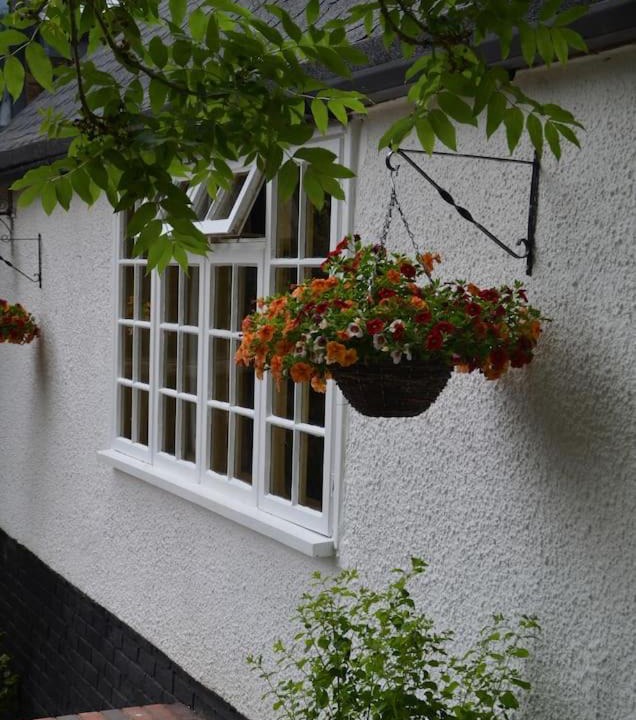 Photo of Others in Wixford