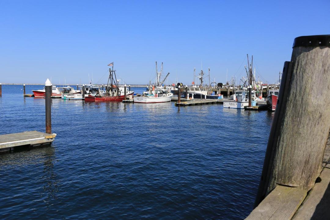 Photo of Others in Commercial Street