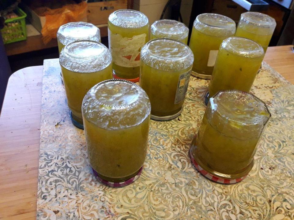 Photo of Others in Tarascon-sur-Ariege