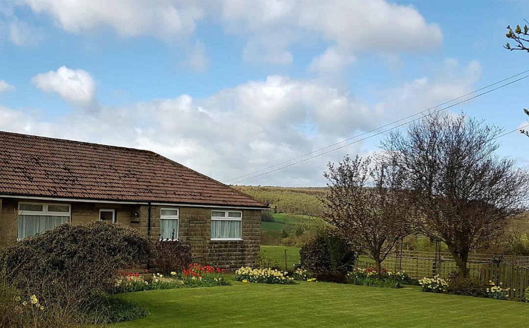 Photo of Others in Scalby