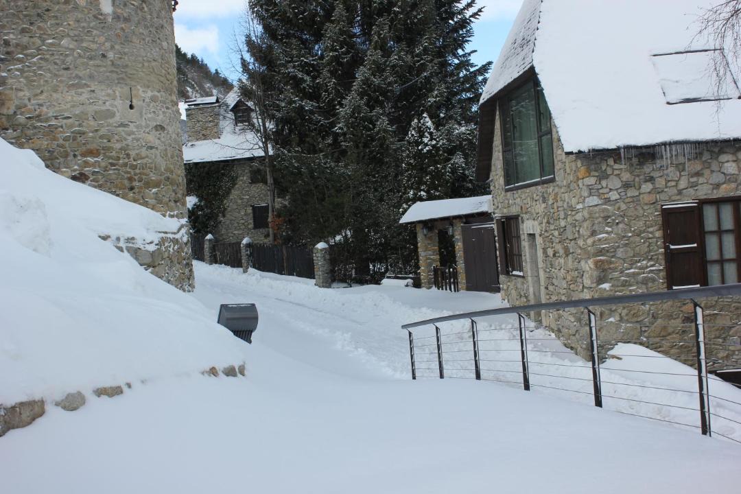 Photo of Others in Arties
