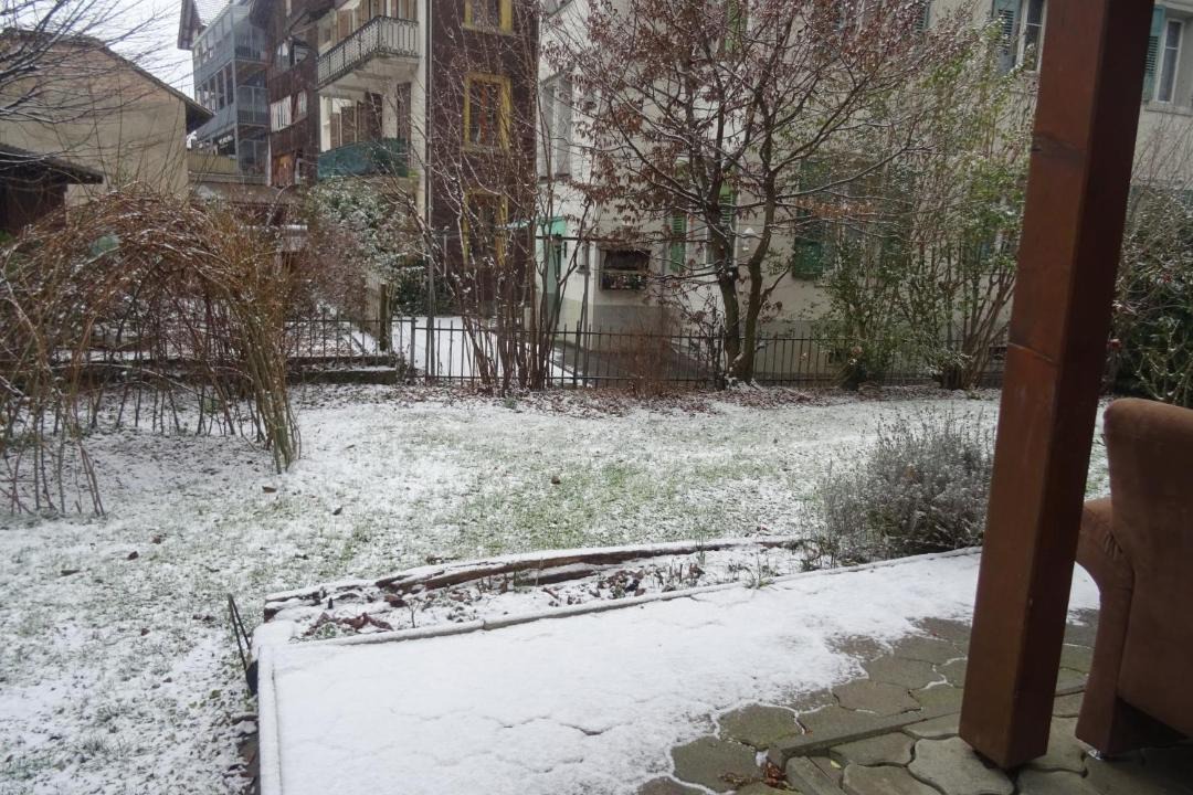 Photo of Others in Central Interlaken