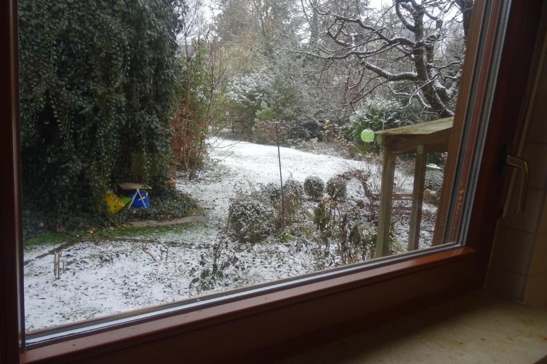 Photo of Others in Central Interlaken