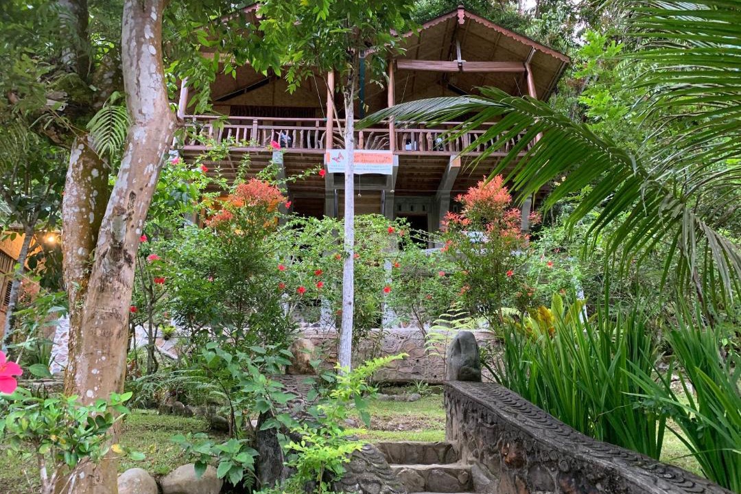 Photo of Others in Bukit Lawang