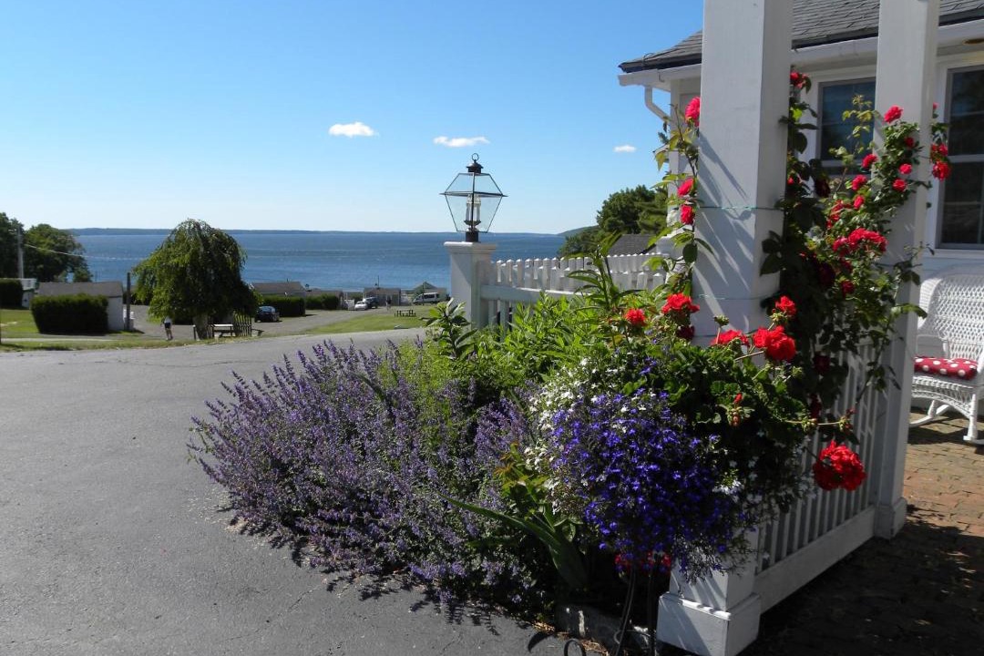 Photo of Others in Belfast