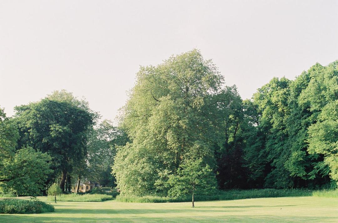 Photo of Outdoor in Wimborne Saint Giles