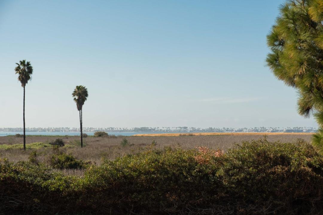 Photo of Others in Lincoln Acres
