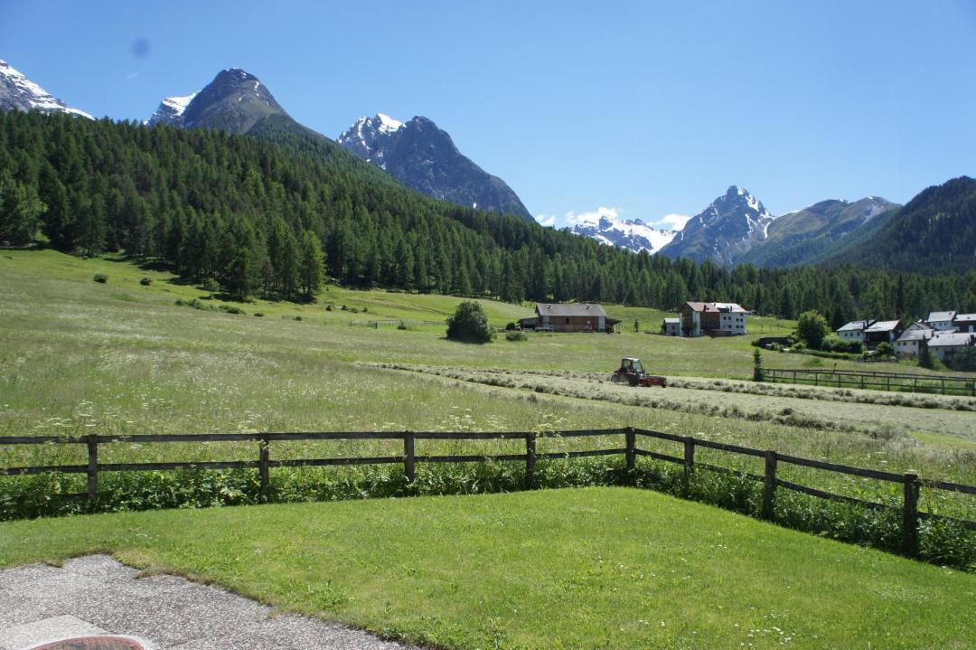 Photo of Others in Engadin Scoul