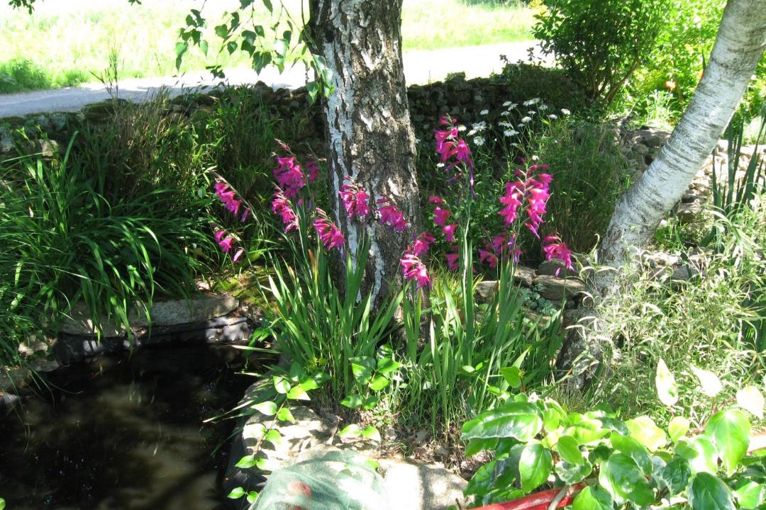 Photo of Others in Malansac