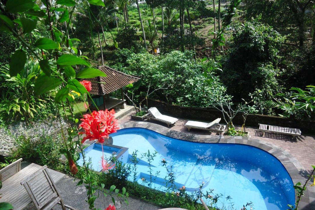 Photo of Others in Ubud
