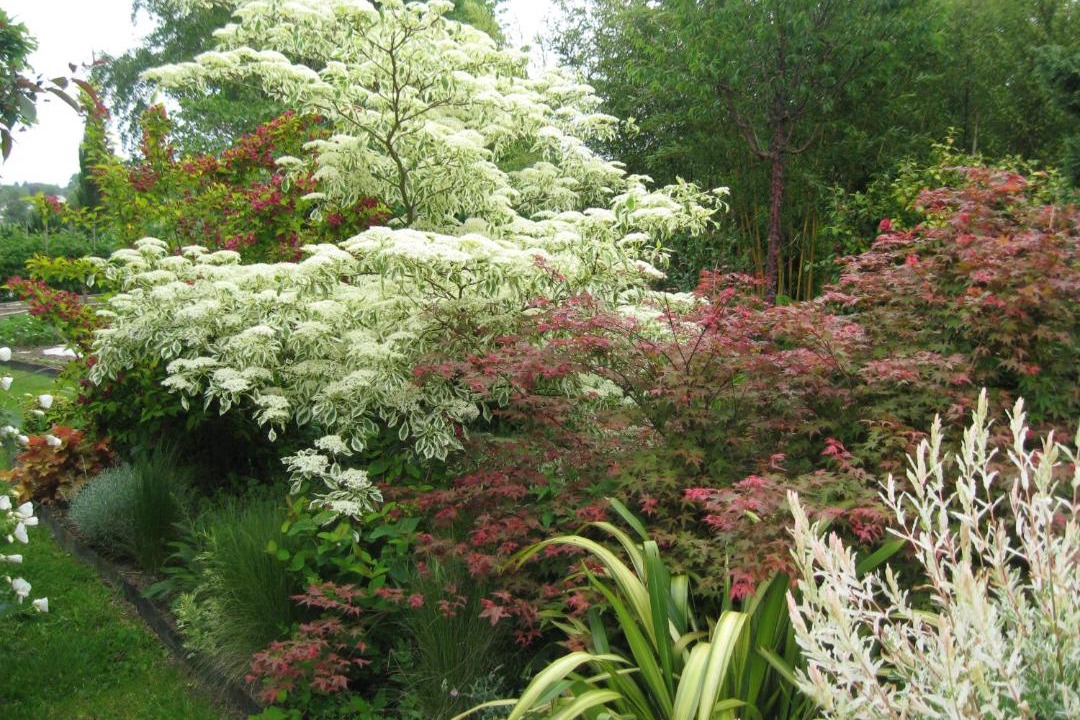 Photo of Others in Malansac