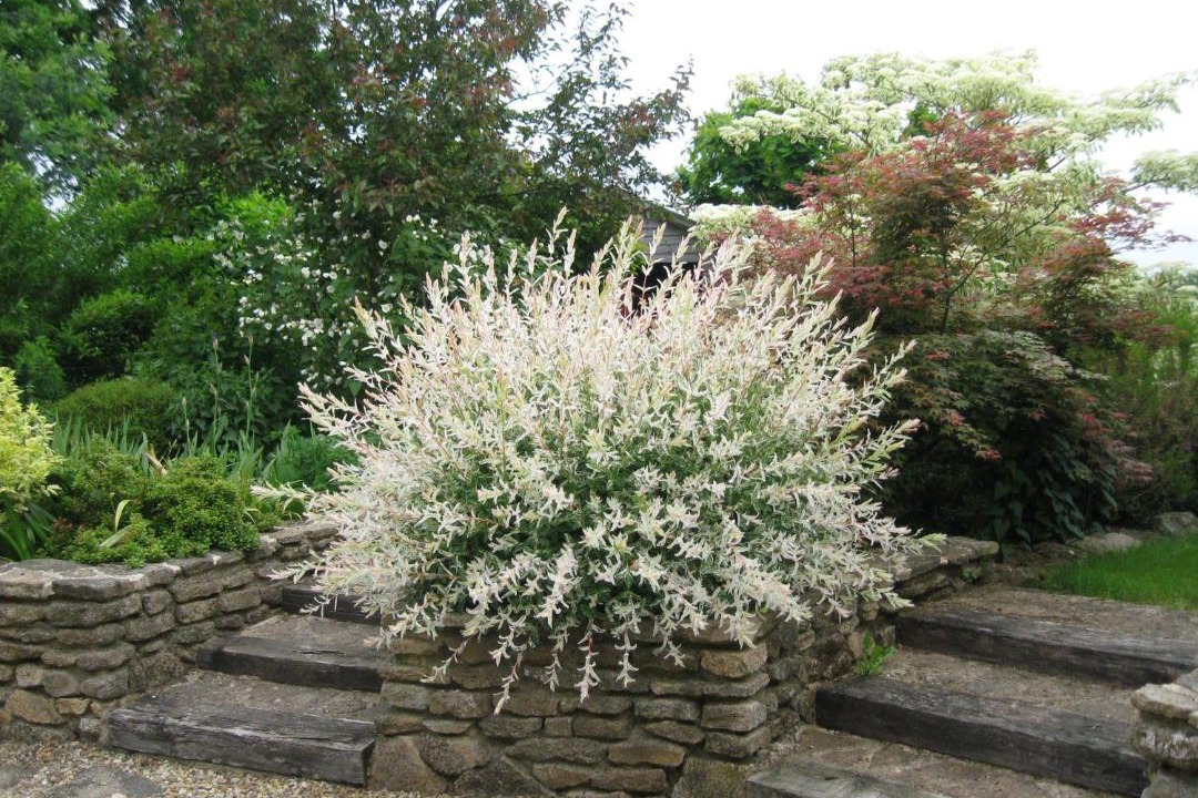 Photo of Others in Malansac