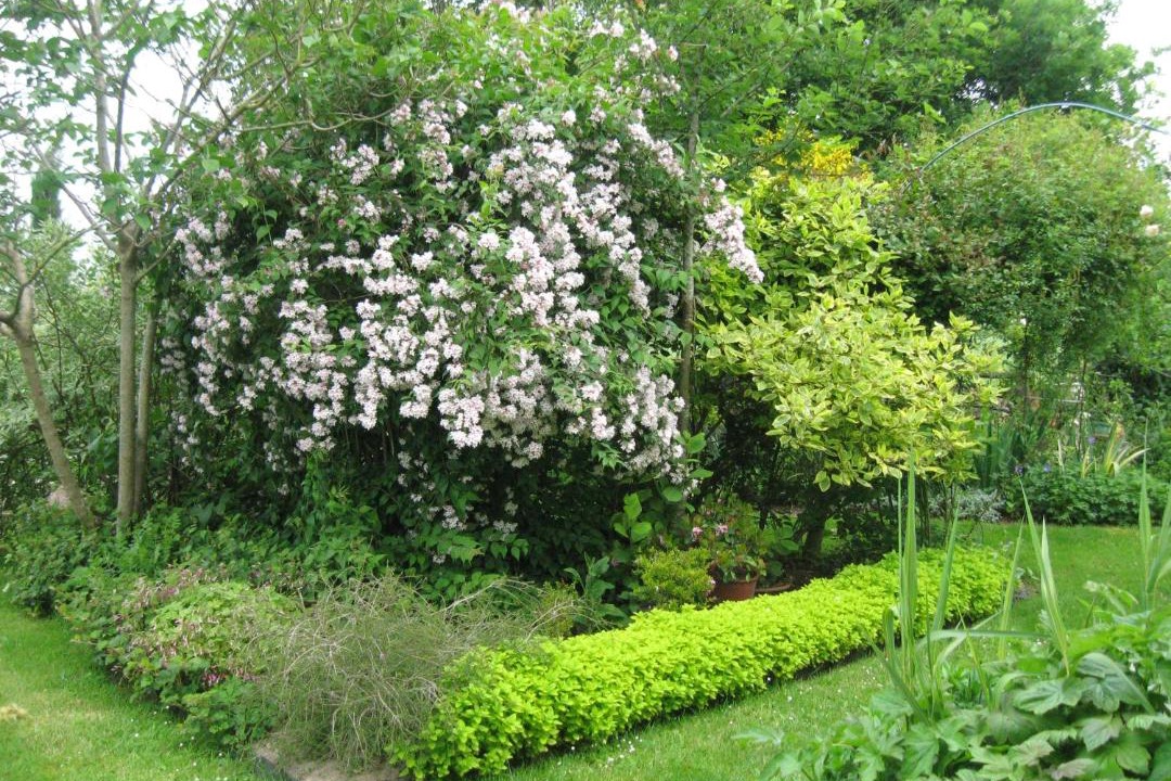 Photo of Others in Malansac