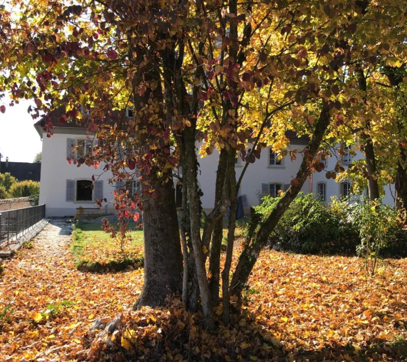 Photo of Others in Porrentruy