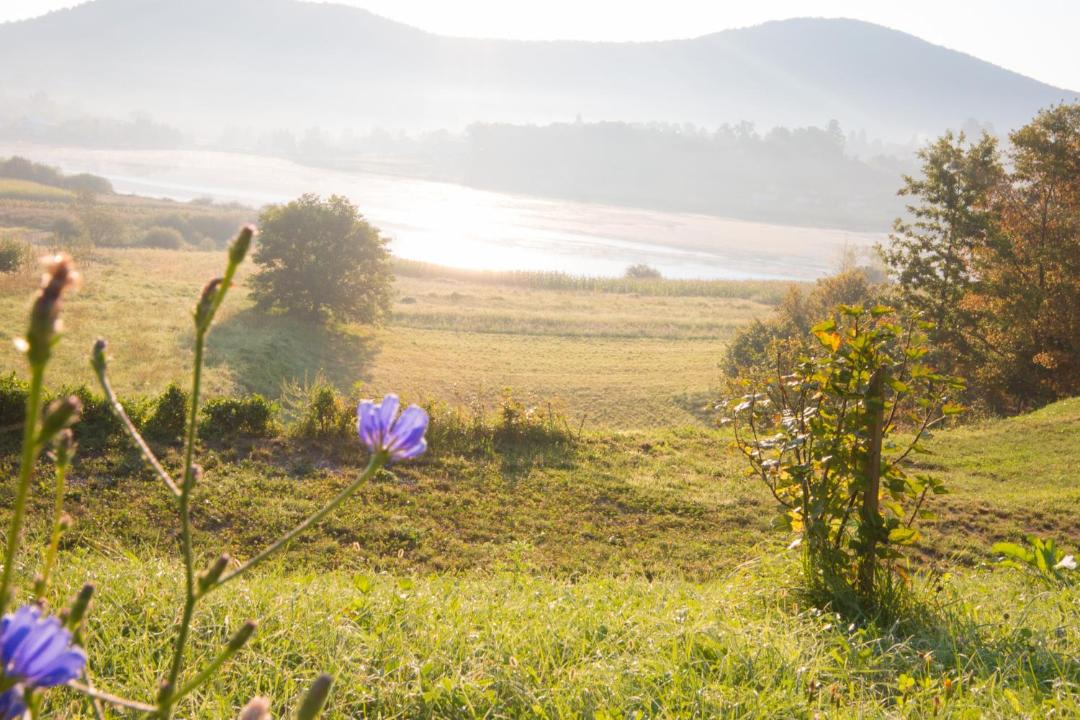 Photo of Others in Ogulin