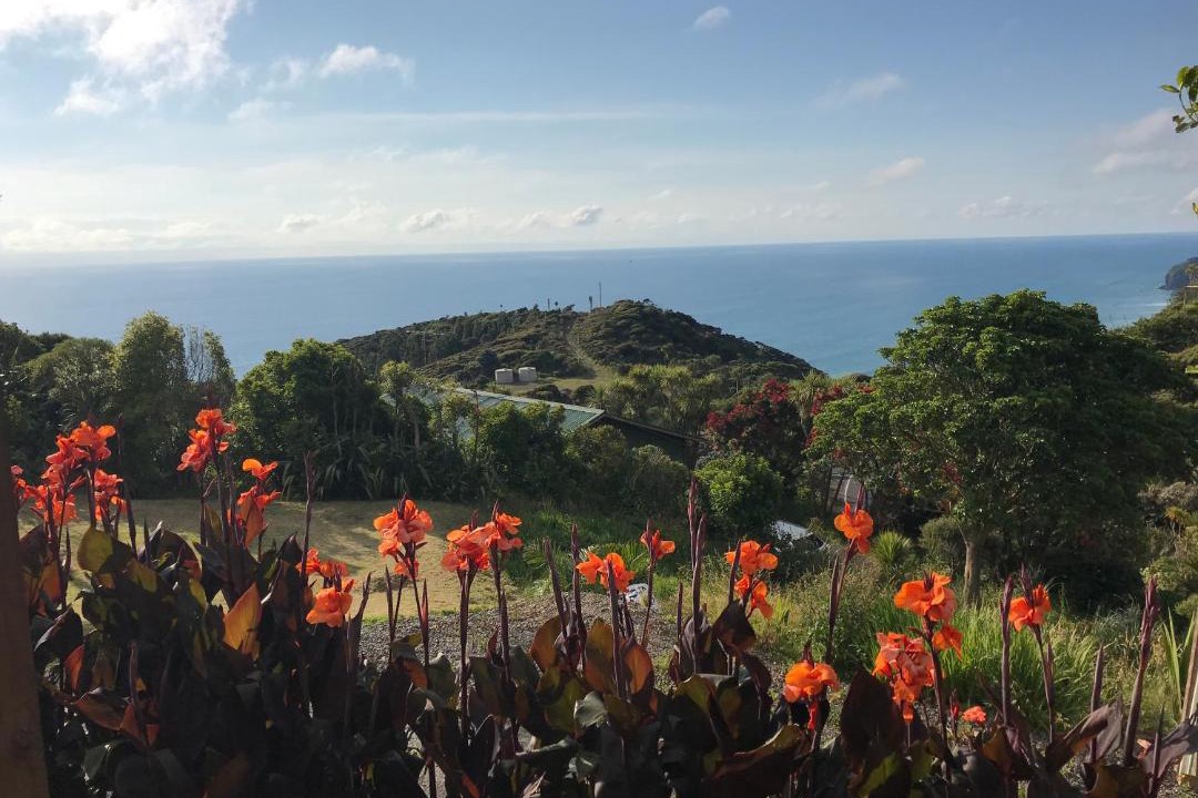 Photo of Outdoor in New Lynn