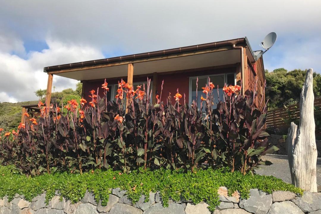 Photo of Buildings in New Lynn