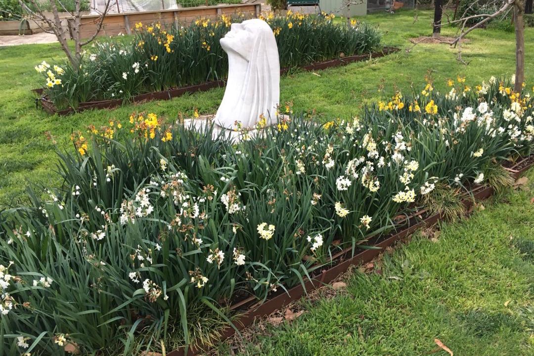 Photo of Others in Yering