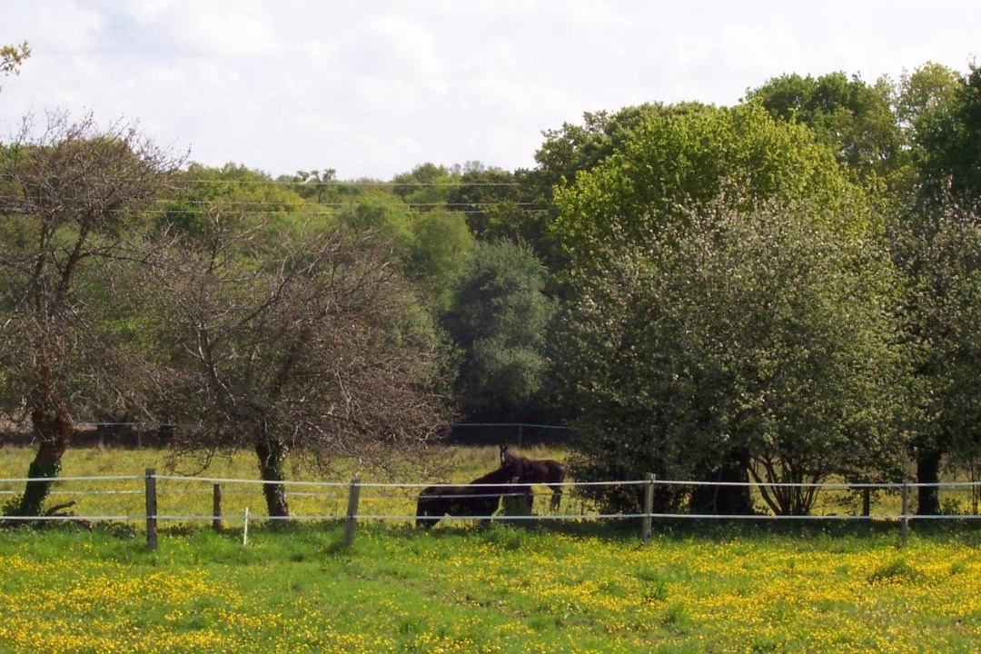 Photo of Others in Kergonan