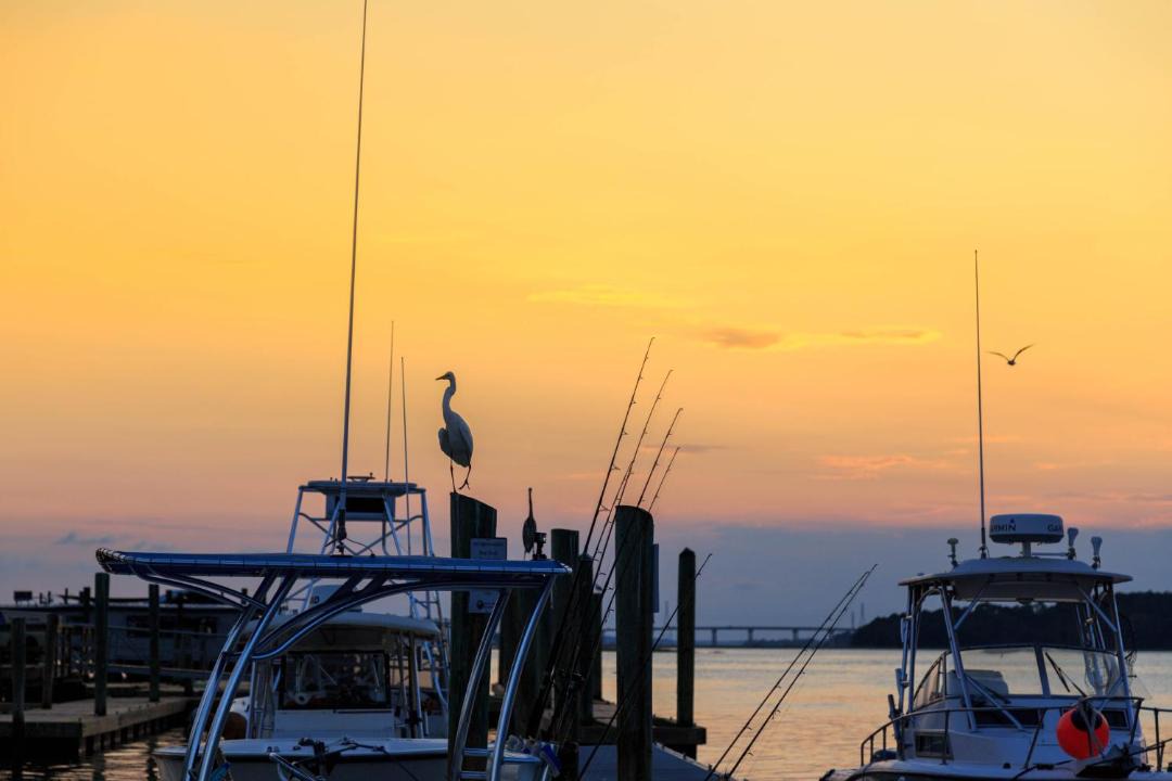 Photo of Others in Hilton Head Island