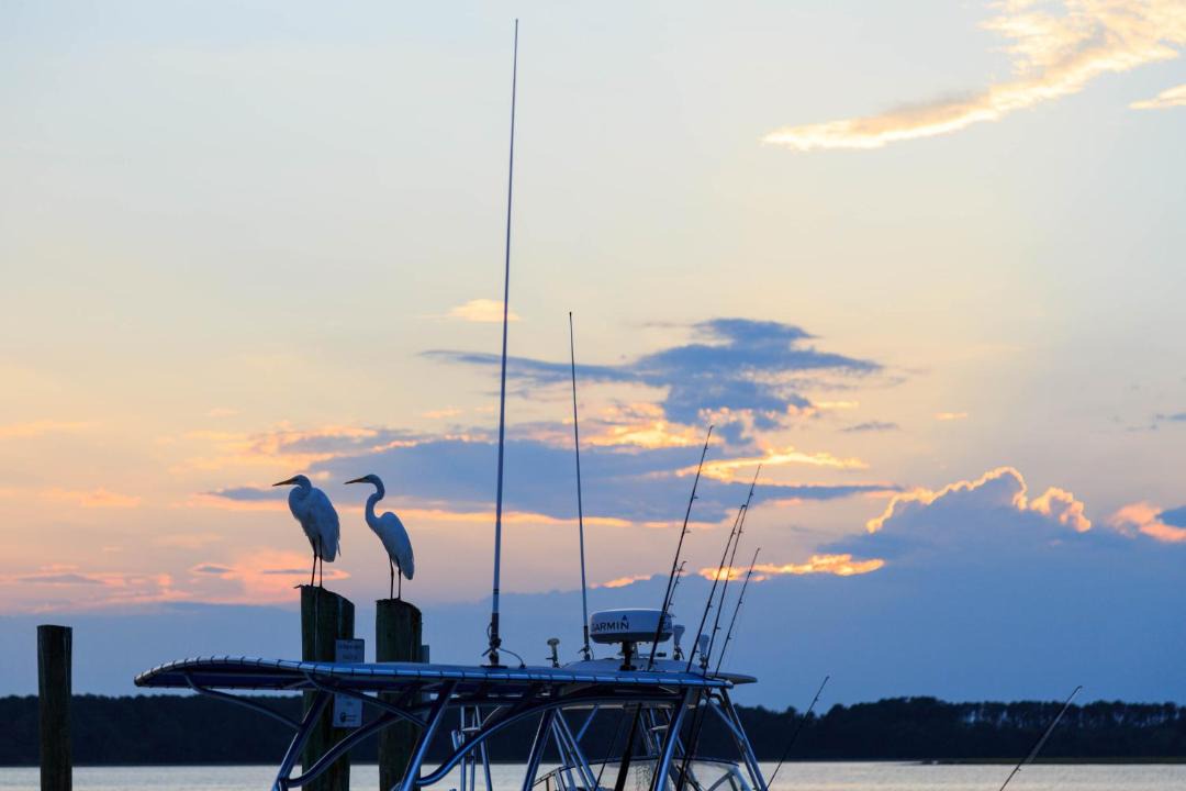 Photo of Others in Hilton Head Island